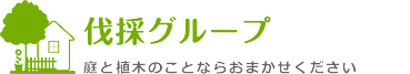 伐採グループ_長野